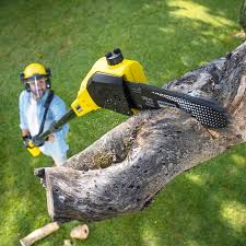 Best Seasonal Cleanup (Spring/Fall)  in Atoka, TN