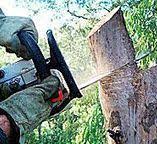 Best Utility Line Clearance  in Atoka, TN