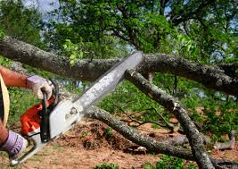 Best Lawn Grading and Leveling  in Atoka, TN